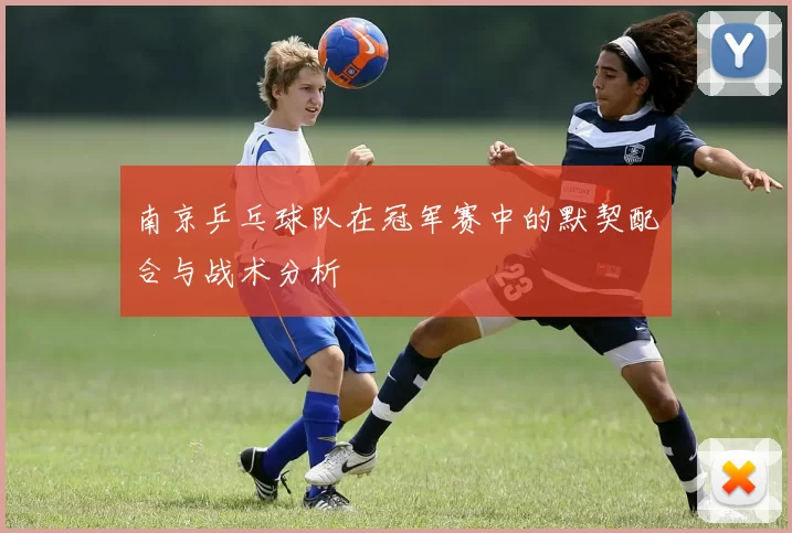 南京乒乓球队在冠军赛中的默契配合与战术分析