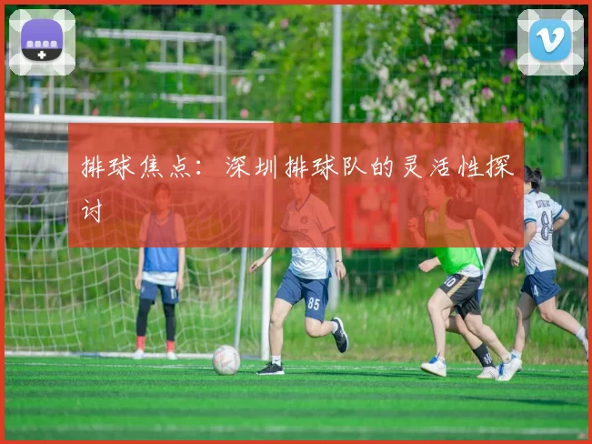 排球焦点：深圳排球队的灵活性探讨