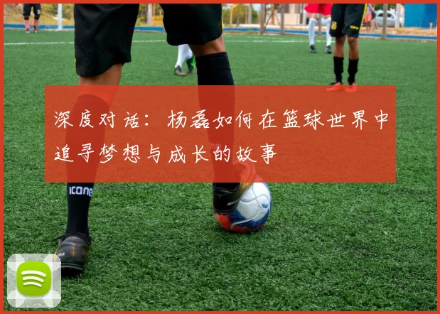 深度对话：杨磊如何在篮球世界中追寻梦想与成长的故事