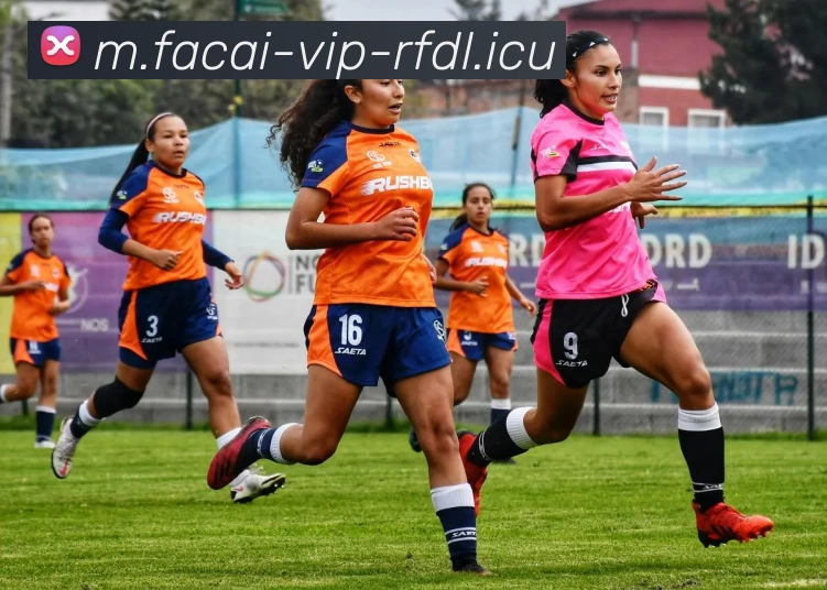 星空体育平台生态图