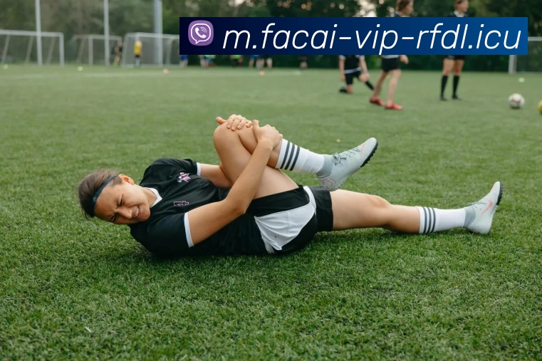 星空体育全站App